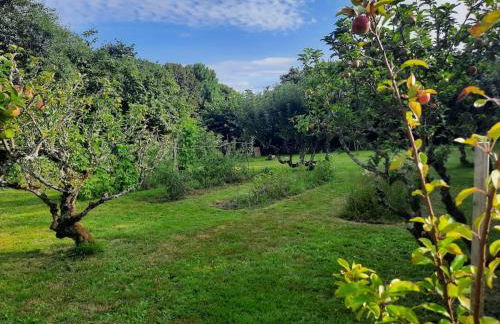 Le Clos de la Fuie, La Perrière, Perche - Foto 37