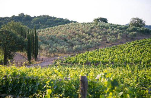Agriturismo Poggio Corbello - Foto 106