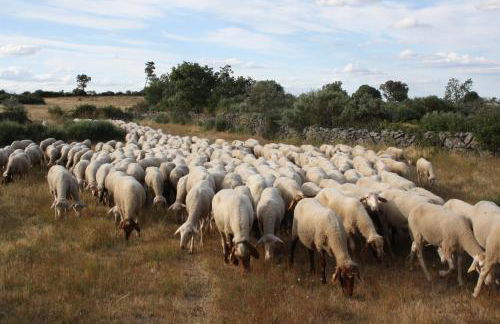 Casa Rural Mimbrero - Foto 18
