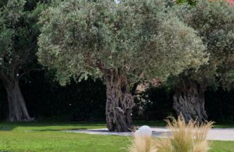 Casa MiRa Lesvos - Foto 32