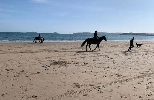 Captain’s Cabin - Photo 40