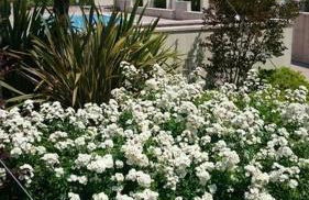 Residence Jesolo Lido centro con piscina - Foto 38