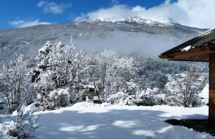 Le Carré de Bois - Photo 25