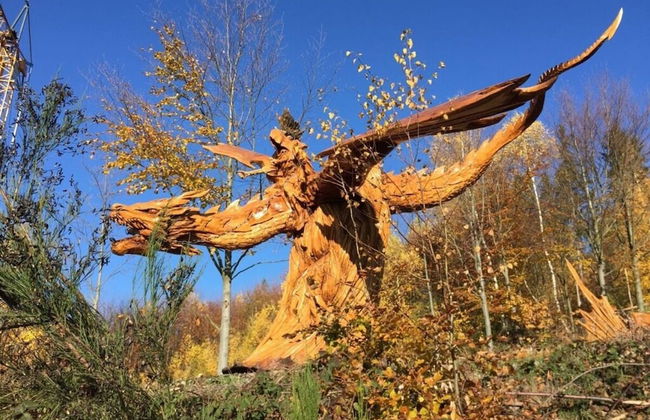 Yellow House Modern Retreat - Foto 21