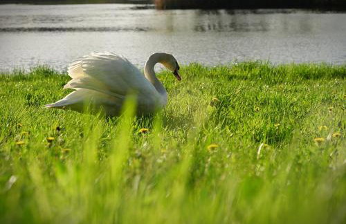 Countryside Home 39 by GREEN Croatia - Foto 20