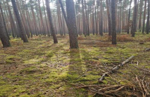 A Wooden, Eco-friendly House by the Goszcza Lake. Living Room, 2 Bedrooms - Foto 93