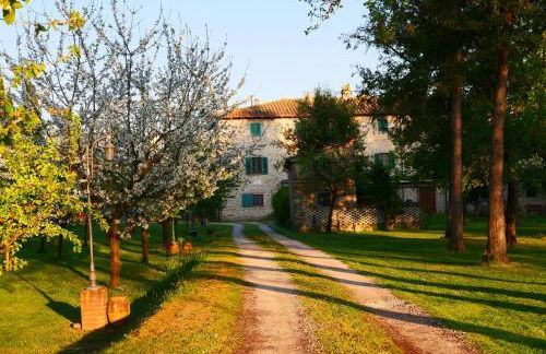 Agriturismo Il Trebbio - Photo 34