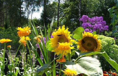 Comfortable holiday villa with fireplace, garden - Foto 31