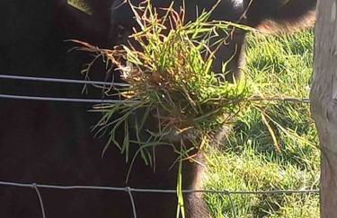 The Cowshed, Tunbridge Wells - Photo 31