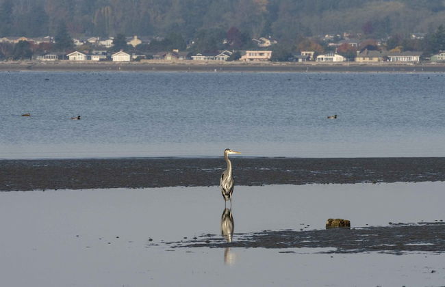 Raintree's Sandcastle - Foto 31