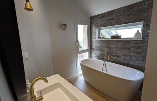 La Terre d'Or - Foto 40