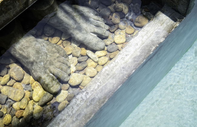 SATIN DOLL - Foto 27