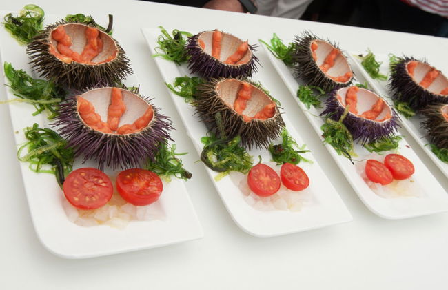 Xarmada Guillermo - Foto 30