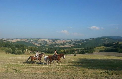 Il Casale Società Agricola Semplice di Barattini Pascucci Doriana e C - Foto 40