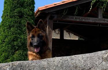 La Casina de Lucia - Foto 27