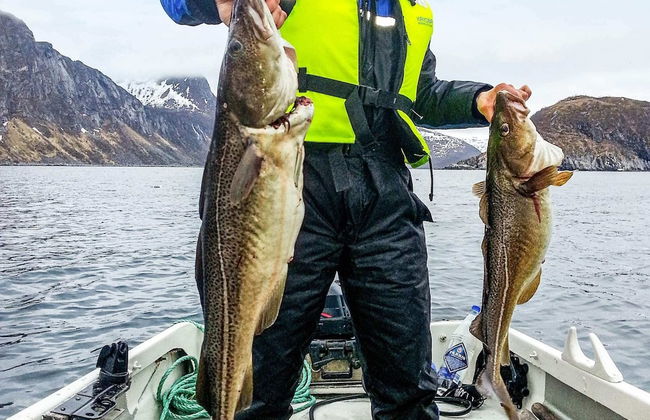 8 Person Holiday Home in Kaldfarnes - Foto 28