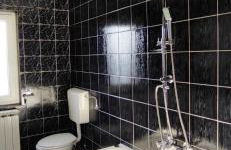 Discover the magic of nature - Foto 25