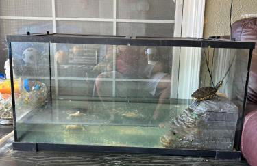 Pool Front Romantic Getaway withPrivate Entry - Foto 10