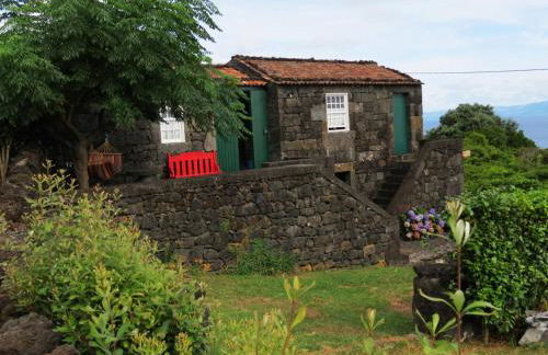 Casa Adega Alto do Passinho - Photo 7