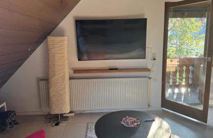 Pension Schmidt - Wipfelblick - Voll ausgestattetes Loft Apartment - Foto 10