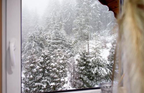 Apartament z sauną i jacuzzi na wyłączność - Sikorówka - Dobre Miejsce - Foto 26