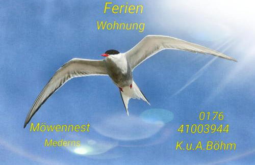 Ferienwohnung Möwennest - Photo 9