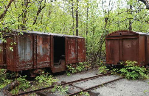Nugget Place-Includes three separate two bedroom units near Mendenhall Glacier-DISCOUNTS ON TOURS! - Foto 42