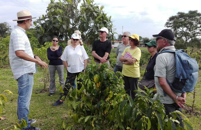 Visite autour du café dans la ferme Casa Vieja - Photo 1