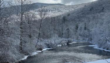 Perfect Vermont Battenkill Log Cabin - Photo 4