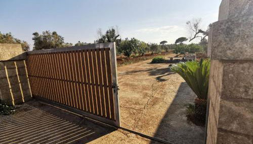 La payara di nonna nina - Foto 5, Garden, Garden view