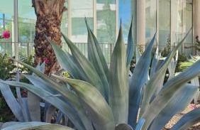 Penthouse Casa SARA, Greenhills, La Zenia, Orihuela Costa - Foto 35