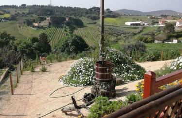 Varandas da Serra II - Foto 58