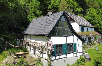 Historische Breidenmühle - Foto 1