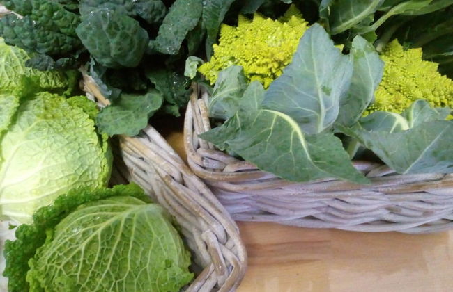 Camping Agrituristico Carso - Foto 10