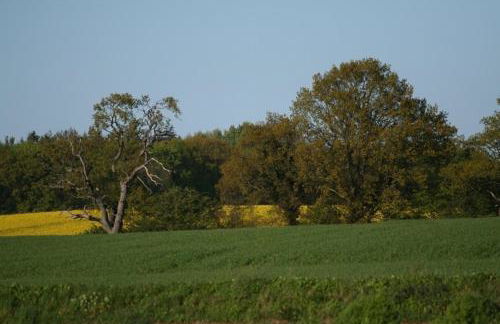 Bellevue mitte - Foto 12