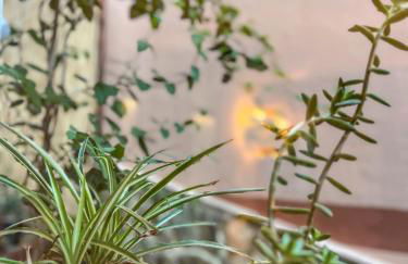 Apartamento Atalantar - Photo 46