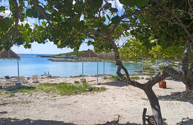 Escursione a Caleta Buena - Foto 2