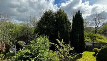 Soul Home - Foto 2, Garden