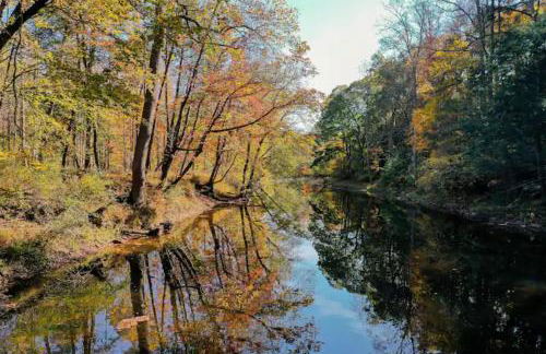 HOT TUB! Cozy Spa Haven Sleepy Creek Bliss Lodge - Photo 32
