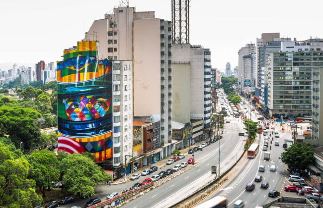 Sao Paulo Ayrton Senna Private Tour - Foto 3