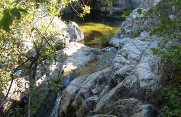 RIBES - Chalet Gîte au coeur de la nature - Foto 26