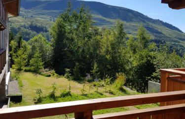 Résidence : Le Crystal Chalet - Foto 29