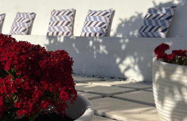 Canto da Planície - Photo 47