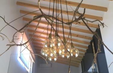 Horta dos Cedros - Foto 44