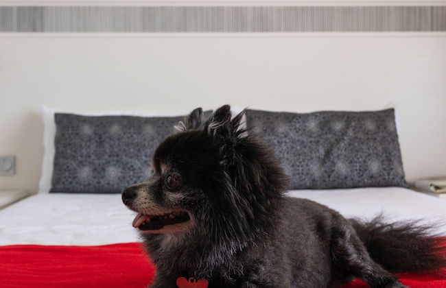 Club Hotel Marazul - Foto 49