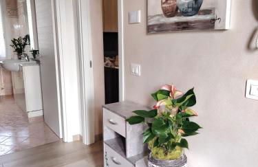 Sole e Luna nella Vigna - Foto 59