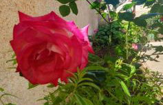 Rifugio al mare - Foto 33