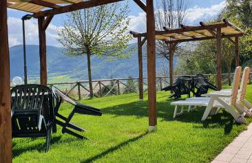 Il Vigneto - Foto 12