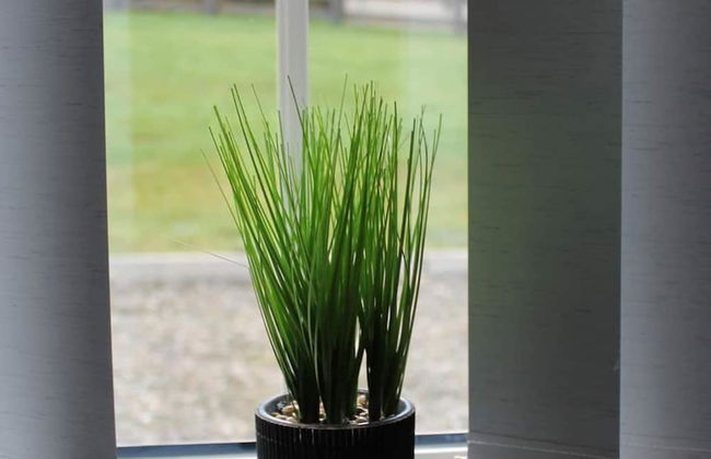 Forest View House Hot Tub Sleeps 9 - Foto 28