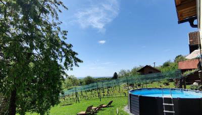 Kuća za odmor Villa Cesarica - Zagreb - Foto 4, Garden, sunbed, Garden view